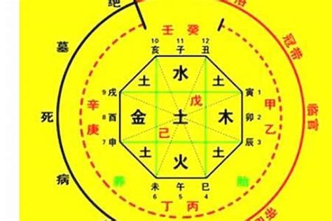 宸喜命理|生辰八字算命、五行喜用神查詢（免費測算）